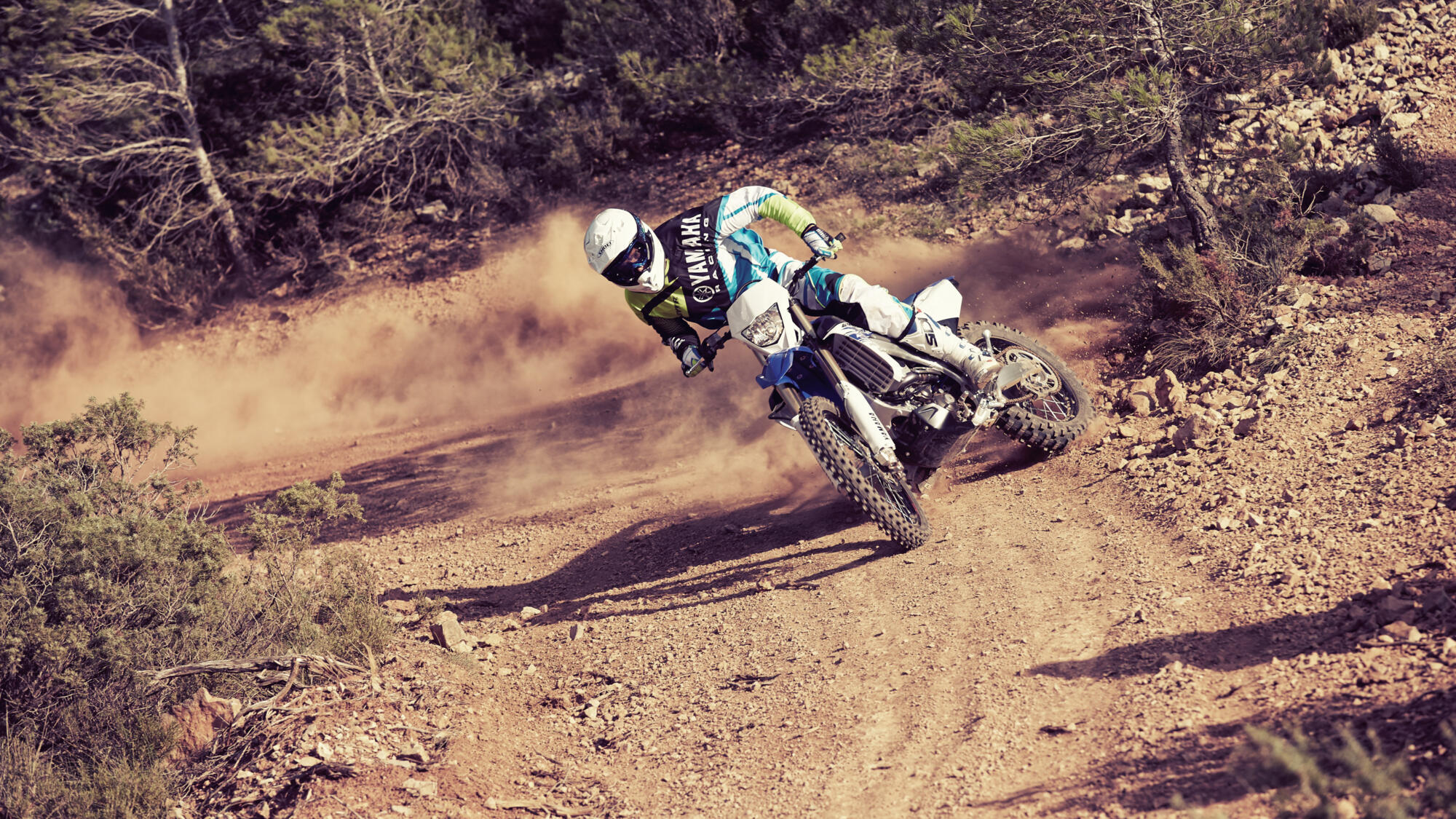 Stels 450 Enduro: hafif güç 47