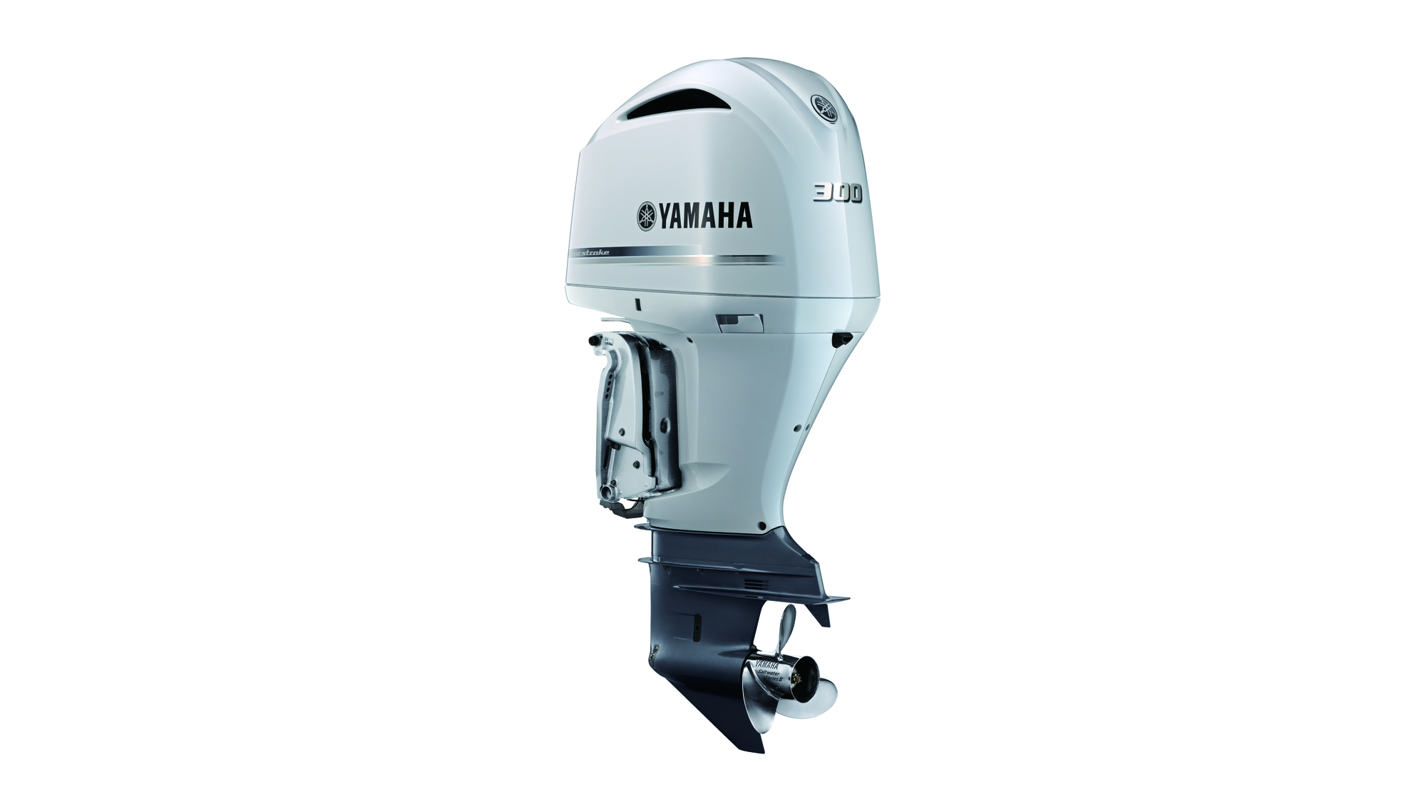 F300B