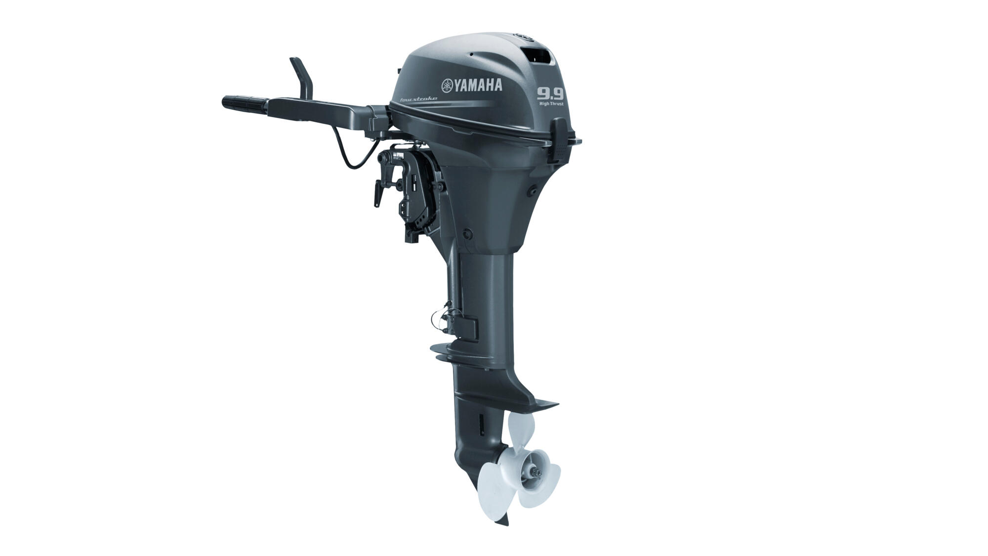 T 9.9hp Bild 1: T 9.9hp