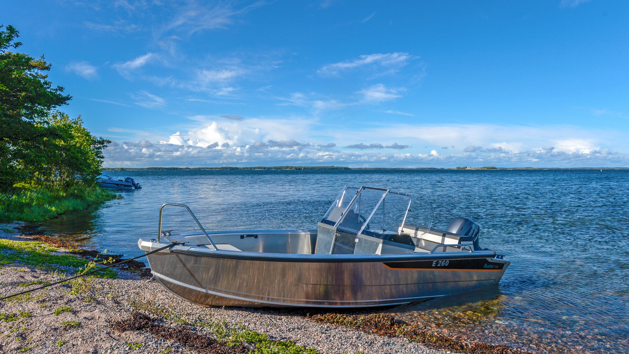 Buster M Bild 8: Buster M