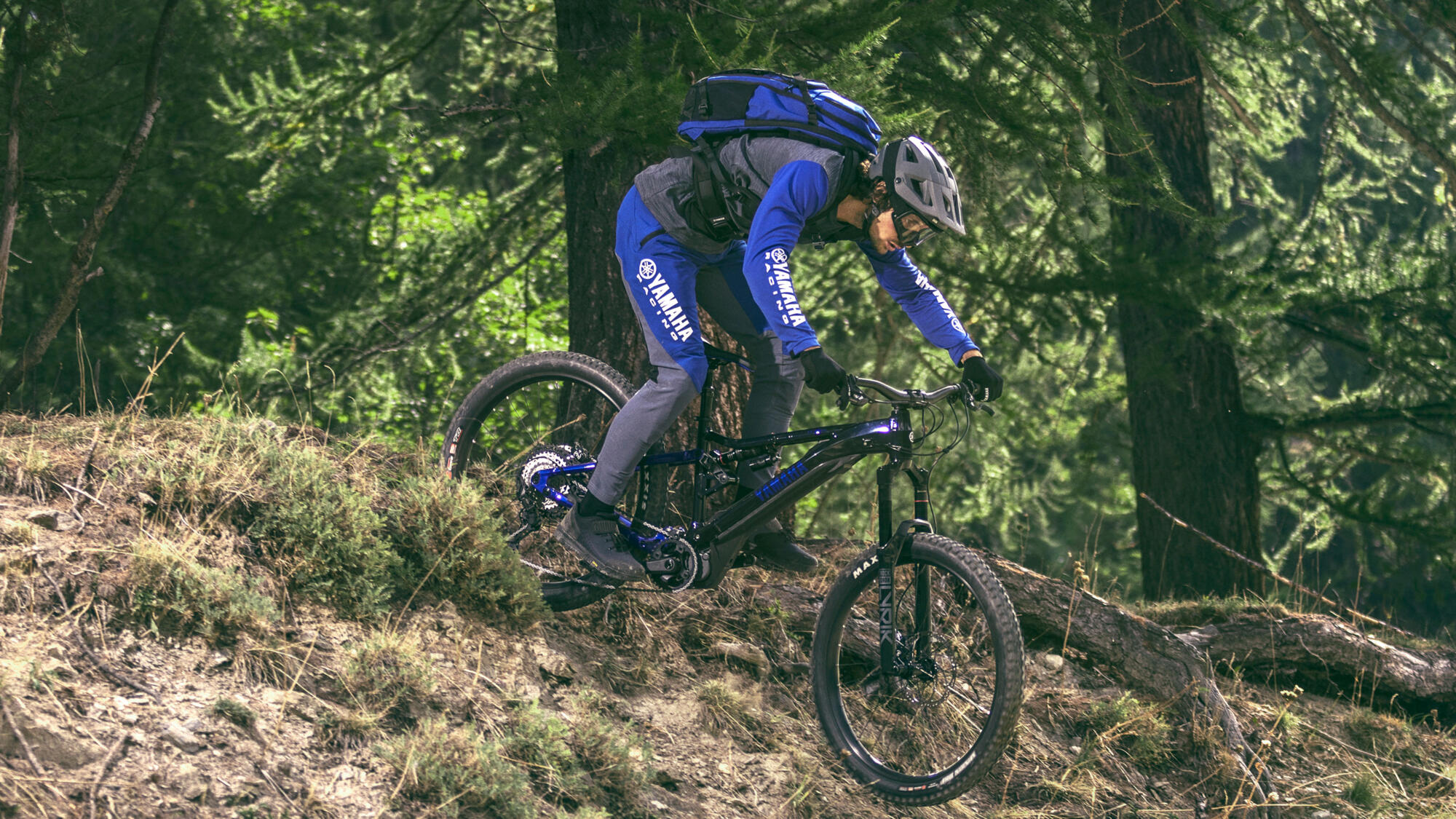 Mountain eBike