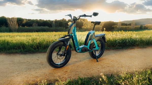 fahrradanhänger kaufen klappbar online Rahmen:46cm Gazelle HeavyDutyNL T3 Hollandrad 56b144c42bae4b9d8aaab83b001f81f2__x_prit_shouh_mao