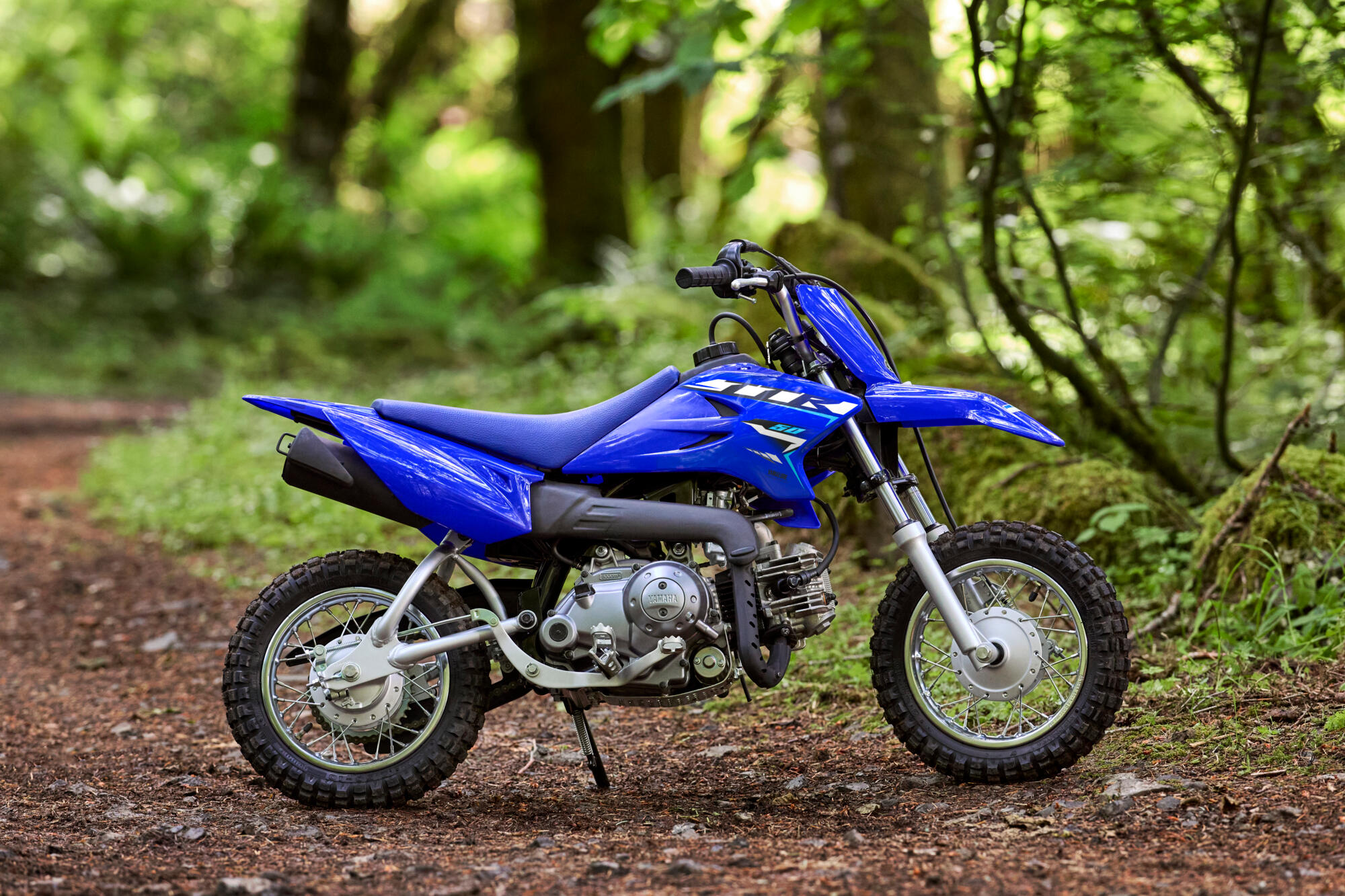 TT-R50 | Off-Road Motorcycle | 50cc | 2026 | Yamaha Motor