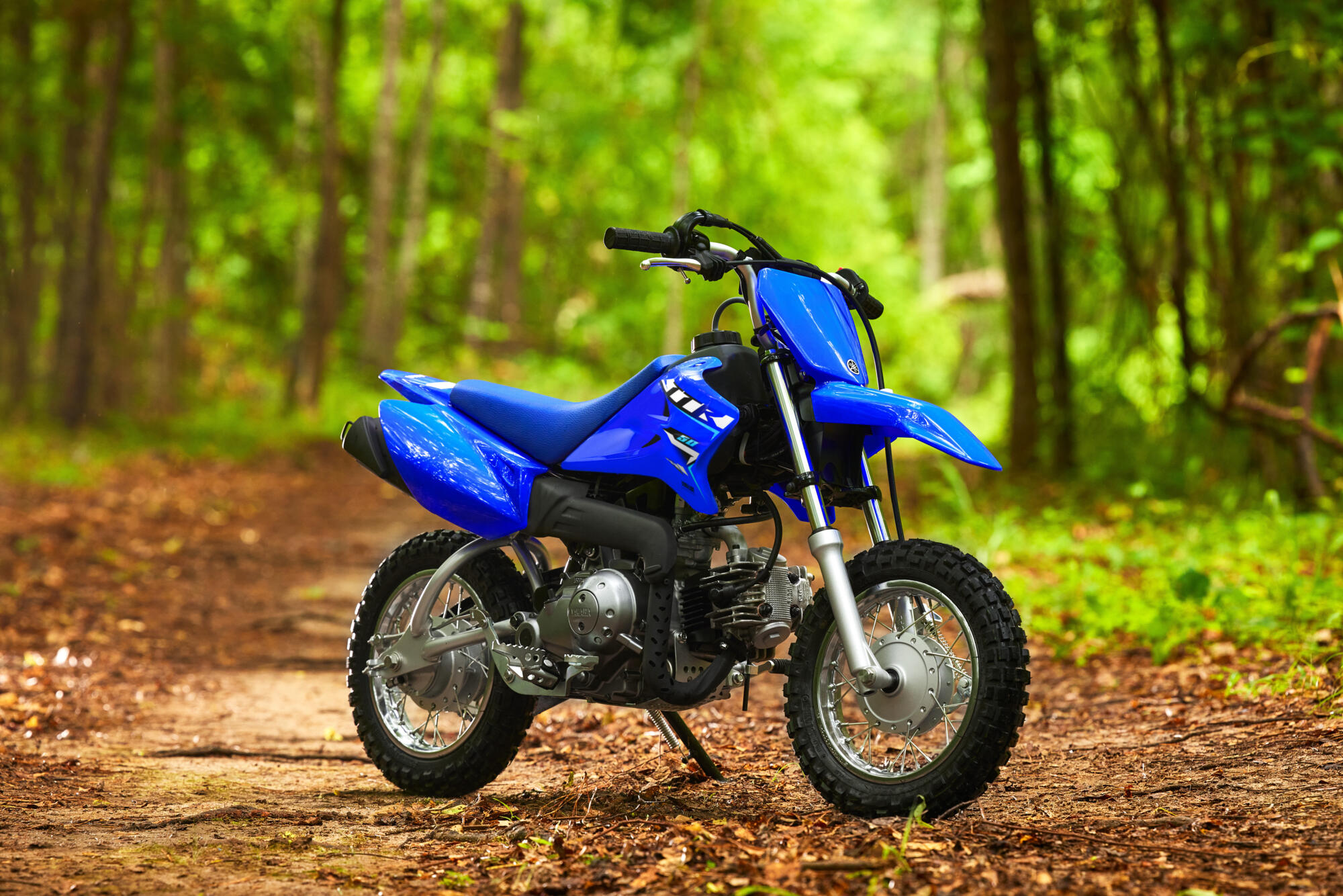 TT-R50 | Off-Road Motorcycle | 50cc | 2026 | Yamaha Motor